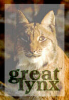 greatlynx